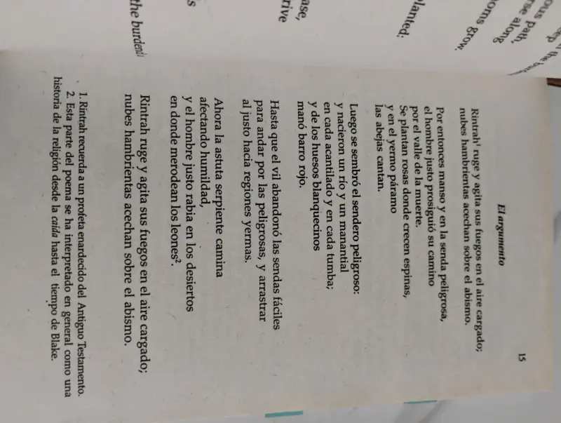 Libro 'El Matrimonio del Cielo y el Infierno' de William Blake - 3