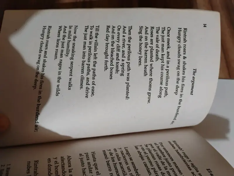 Libro 'El Matrimonio del Cielo y el Infierno' de William Blake - 4