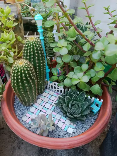 Maceta con cactus y decoración temática - miniatura 3