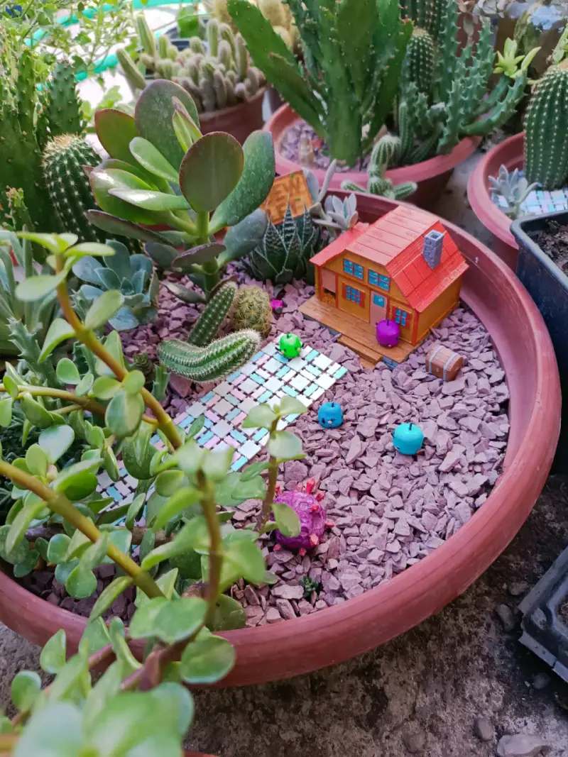 Maceta con cactus y decoración temática - 4