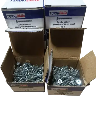 Pack 8 Cajas Tornillos Punta Broca 6x1" Tornichile - miniatura 4