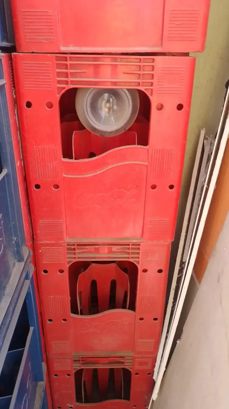 Cajas plásticas Coca-Cola apilables rojas - 1