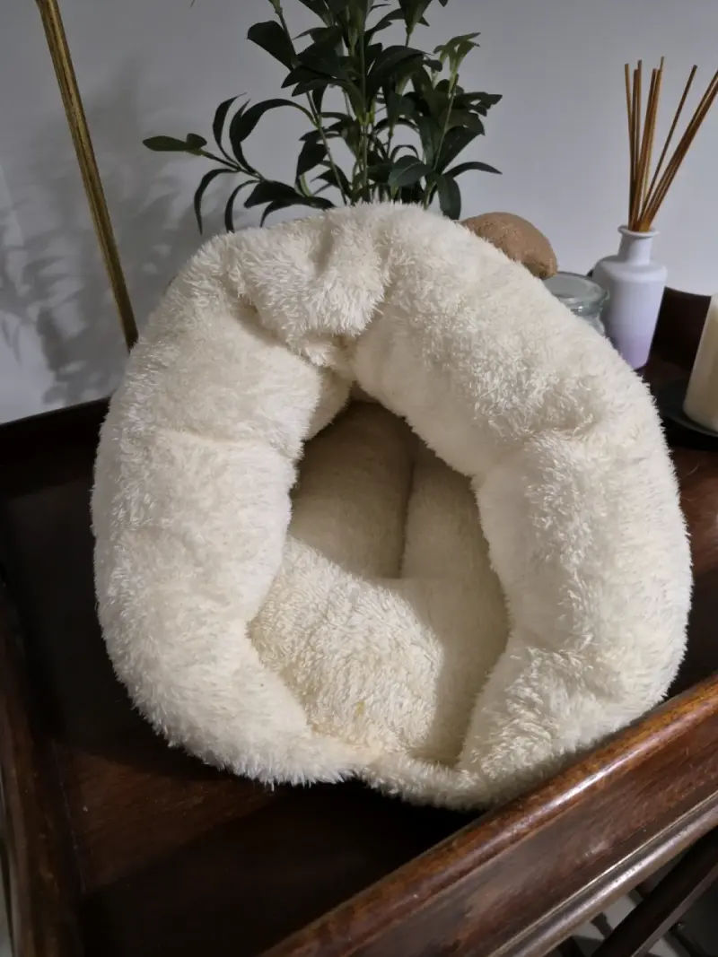 Cama de gato verde con borde de felpa - 2