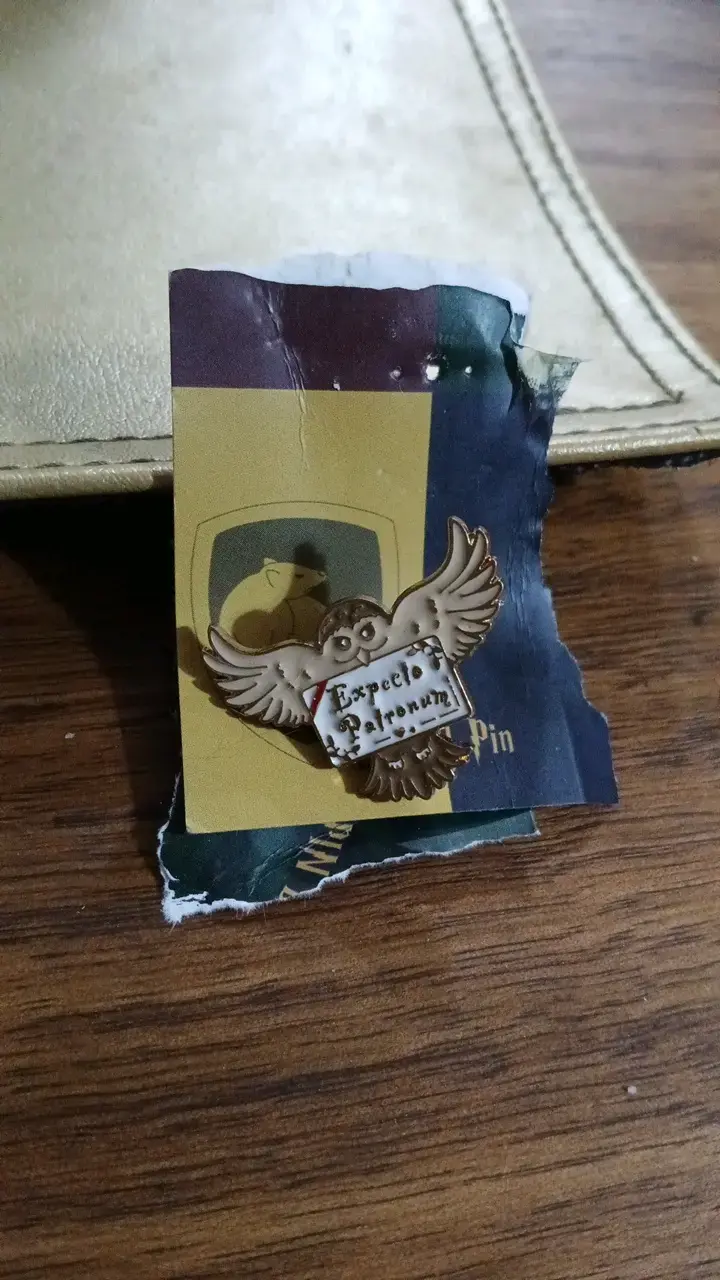 Pin de harry Potter búho Expecto Patronum