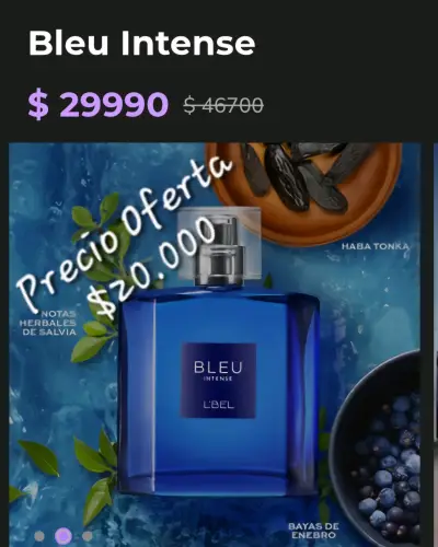 Perfume Bleu Intense L'Bel 100ml - miniatura 1