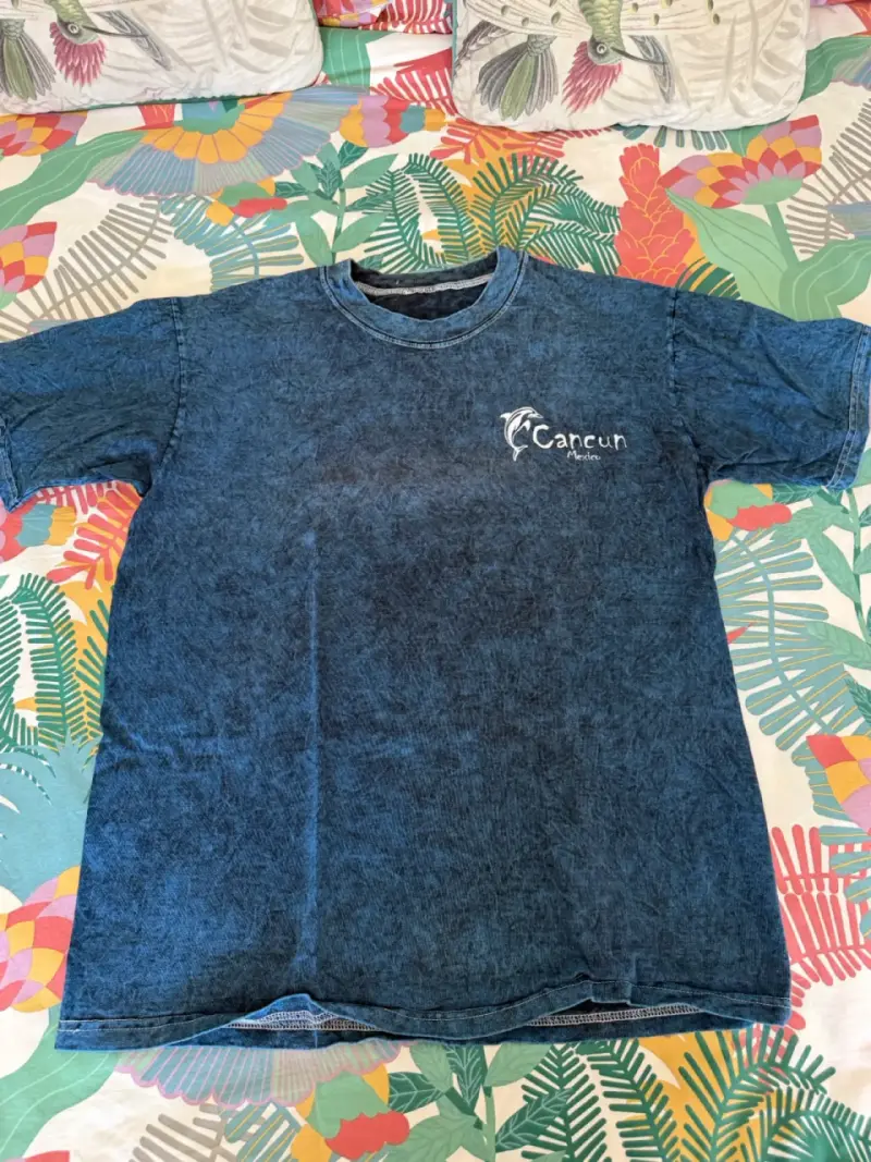 Polera azul con diseño de delfín - 2