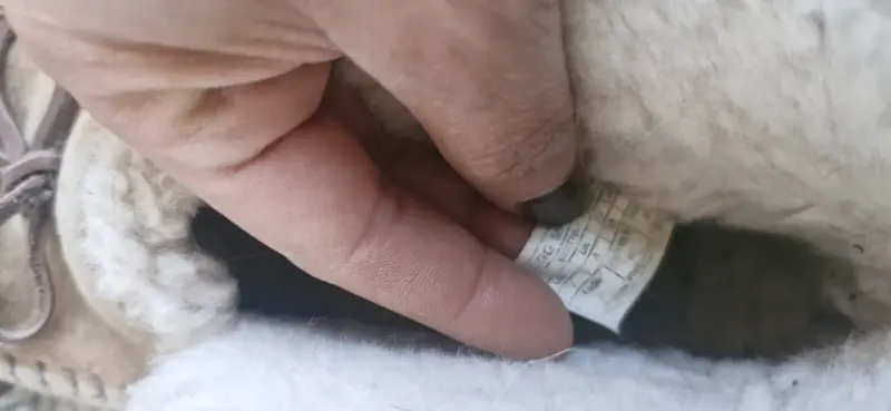 Pantuflas UGG de invierno con forro de lana - 5
