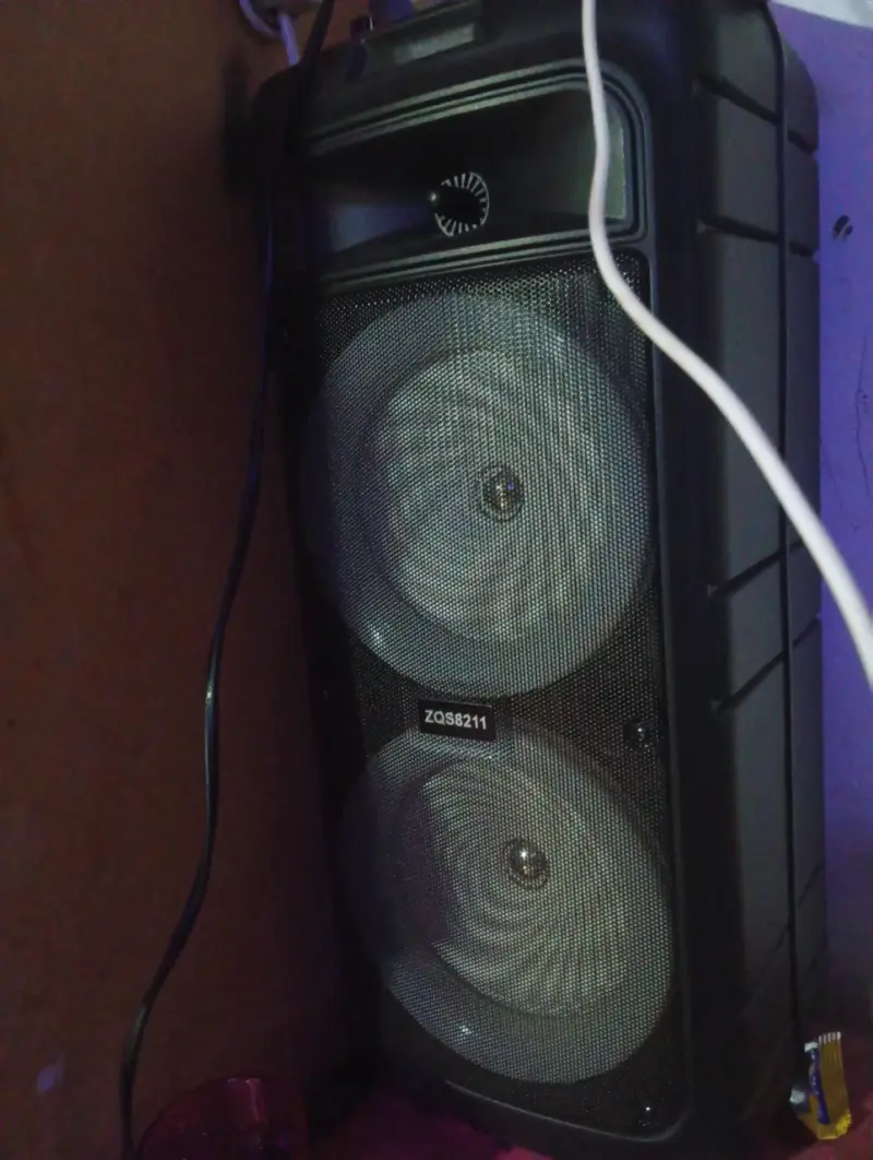 Parlante portátil ZQS8211 con doble woofer - 1