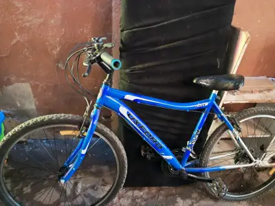 Bicicleta Oxford Lynx azul - miniatura 2