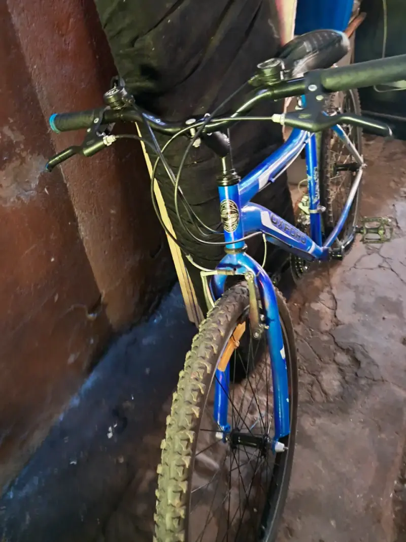 Bicicleta Oxford Lynx azul - 3
