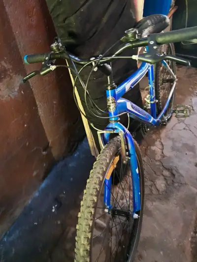 Bicicleta Oxford Lynx azul - miniatura 3