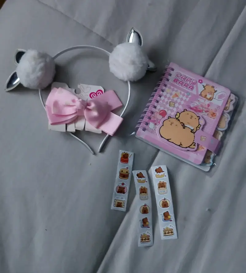 Set de accesorios y cuaderno Capybara