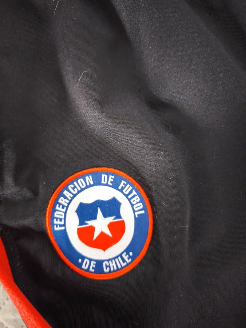 Buzo Nike Selección Chilena - 2