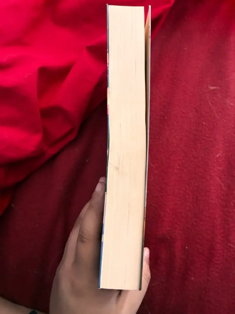 Libro 'Anne sin filtros' de Iria G. Parente - 2