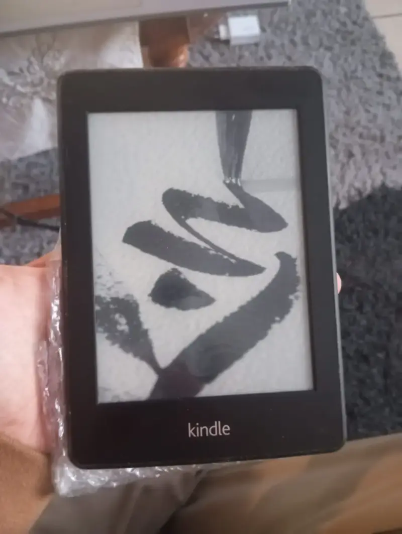 Kindle Paperwhite EY21 (5ta Generación) - Impecabl - 2