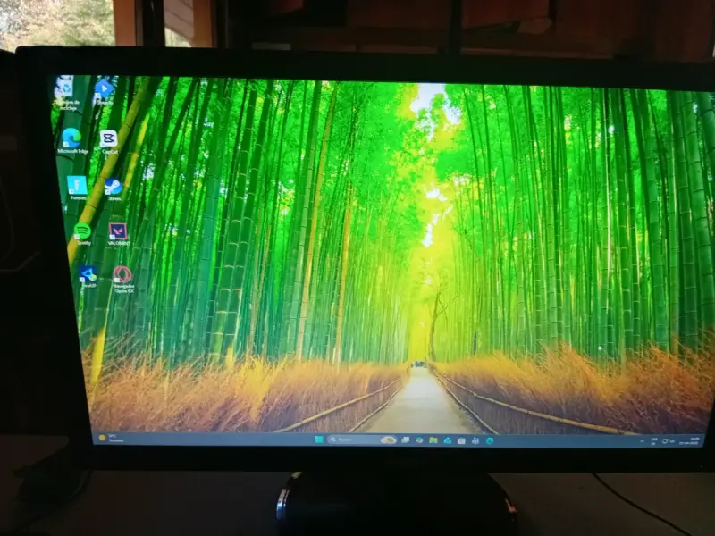 PC Gamer - 2