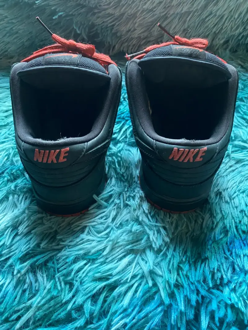 Zapatillas Nike Dunk pigeon - 4