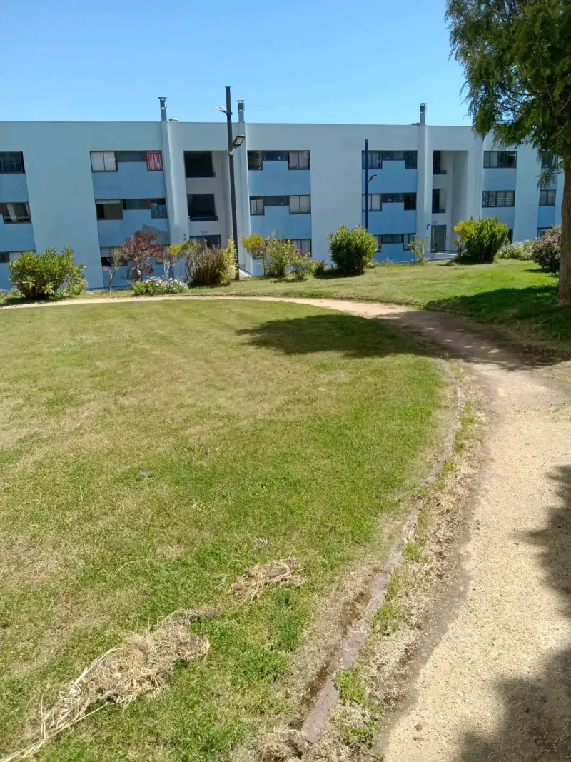 Arriendo lindo departamento - 4