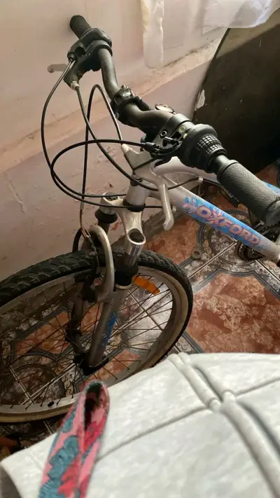 Bicicleta Oxford para adulto - miniatura 2