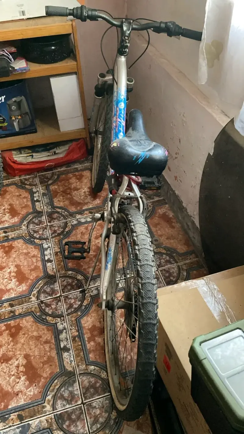 Bicicleta Oxford para adulto - 3