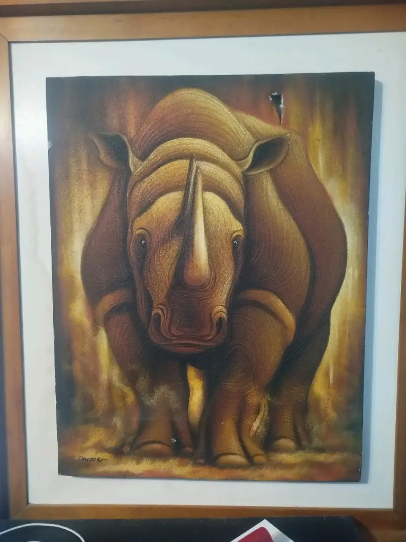 Rinoceronte