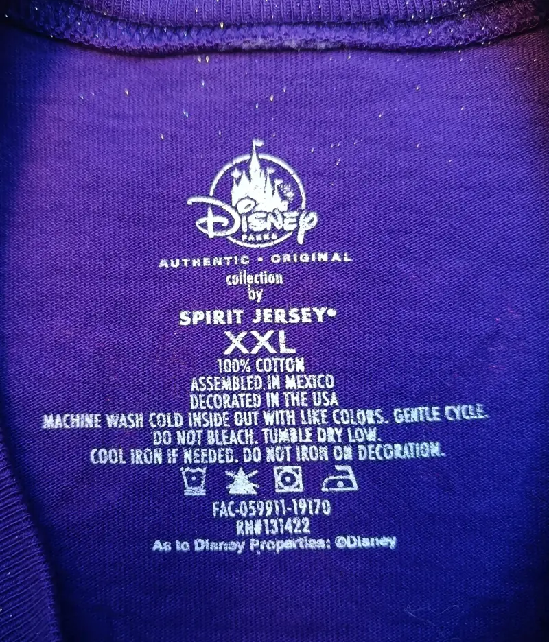 Polerón Disney Spirit Jersey Original - 5