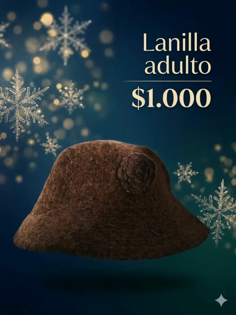 Sombrero de lanilla para adulto - 1