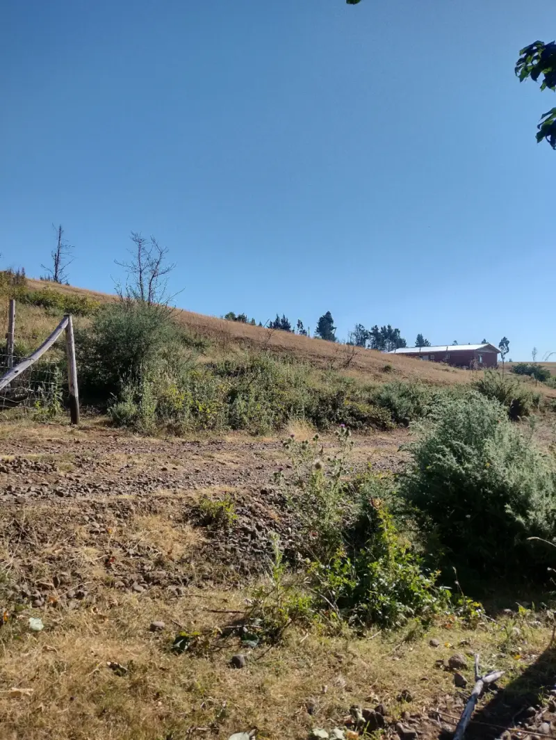 Terreno 5300mts en Cholchol - 5