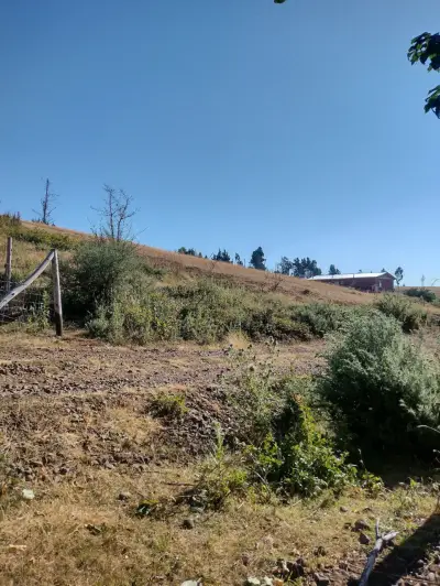 Terreno 5300mts en Cholchol - miniatura 5