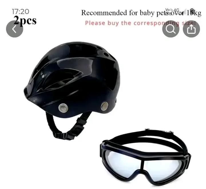 Casco y gafas para mascotas pequeñas