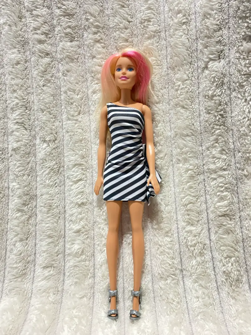 Barbie con coche de perritos - 5
