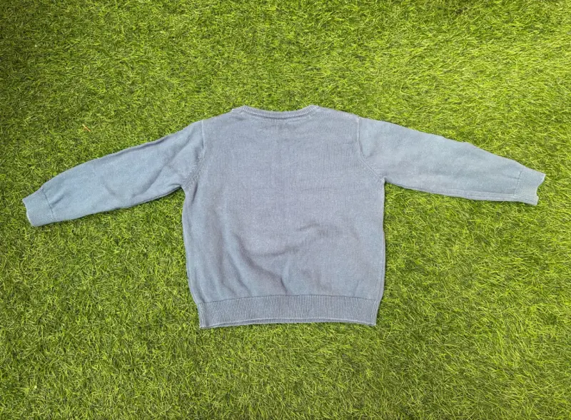 Suéter infantil azul con diseño de tigre - 2