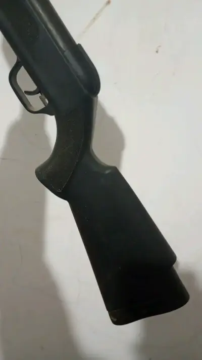 Rifle a postones 5.5 - miniatura 5