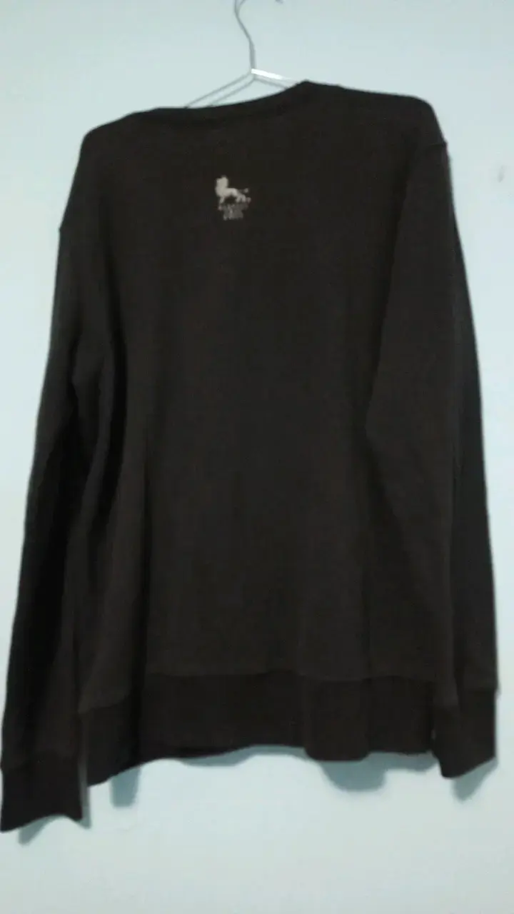 Polerón negro con diseño de lobo y sombrero - 2