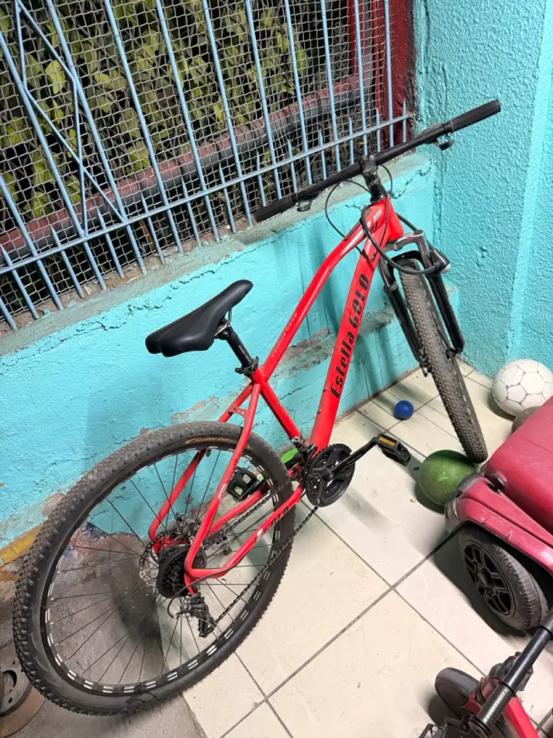 Bicicleta montaña roja Aro 29 - 1