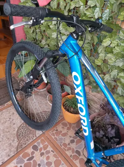 Bicicleta Oxford montaña azul - miniatura 4