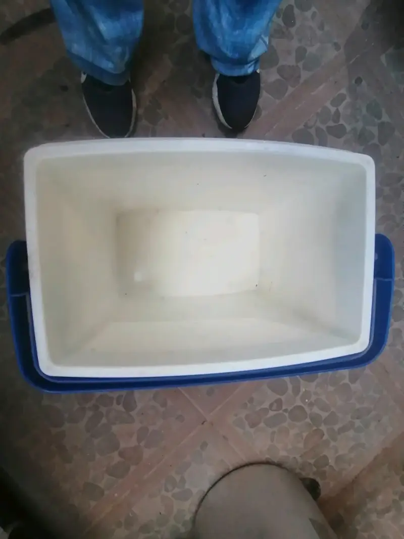 Cooler Wenco 32L azul con tapa blanca - 2
