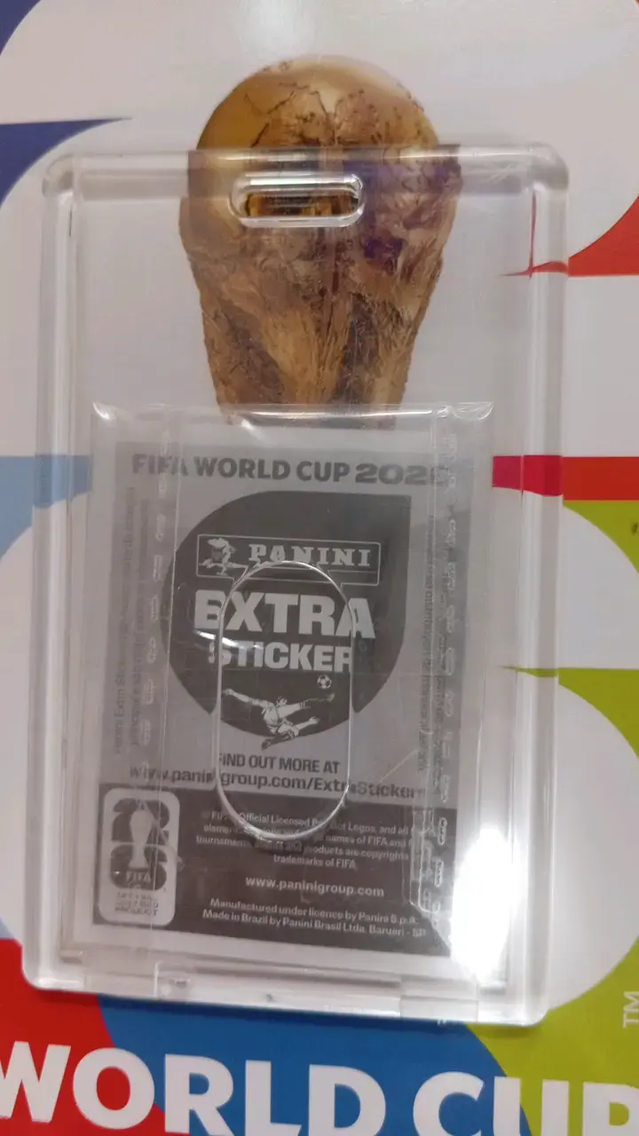 Lámina Panini Alphonso Davies Mundial 2022 - 3