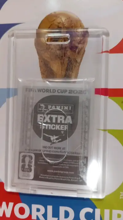 Lámina Panini Alphonso Davies Mundial 2022 - miniatura 3