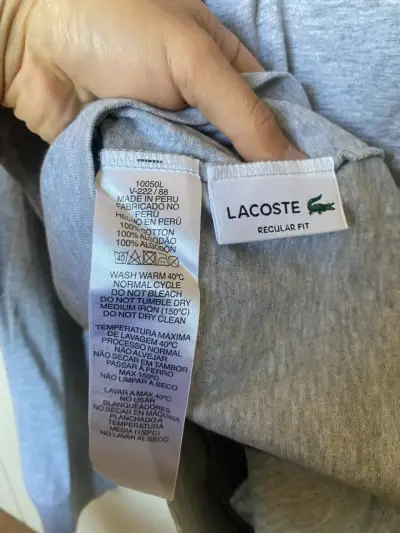 Polerón con capucha Lacoste gris - miniatura 5