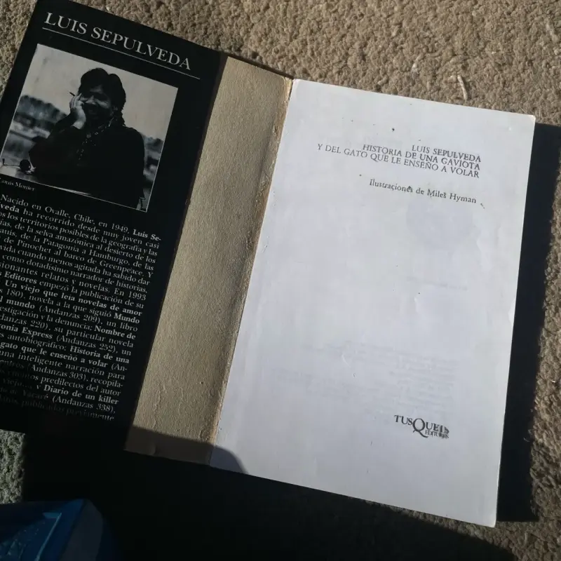 Libro ‘Historia de una gaviota y del gato…’ - 2