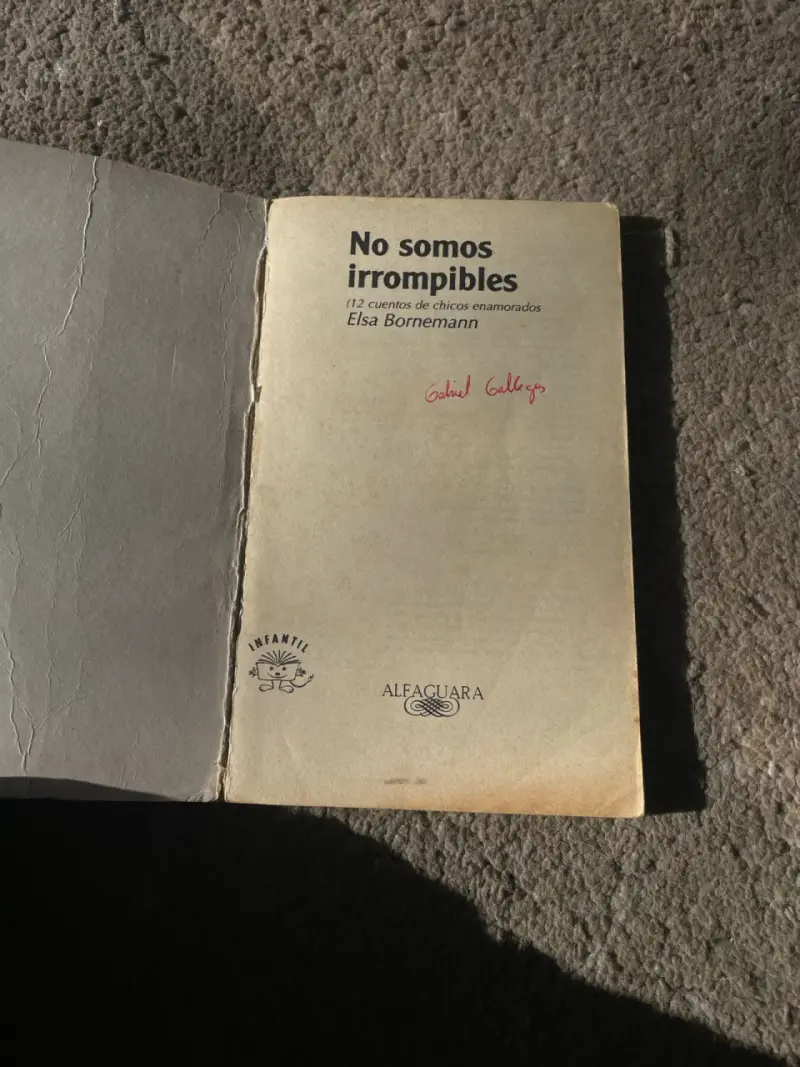 ‘No somos irrompibles’ Elsa Bonneman - 2