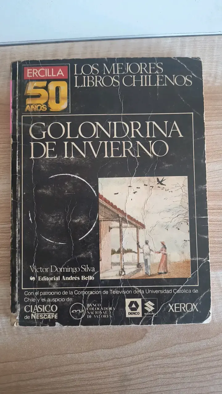 Libro Golondrina de Invierno - 1