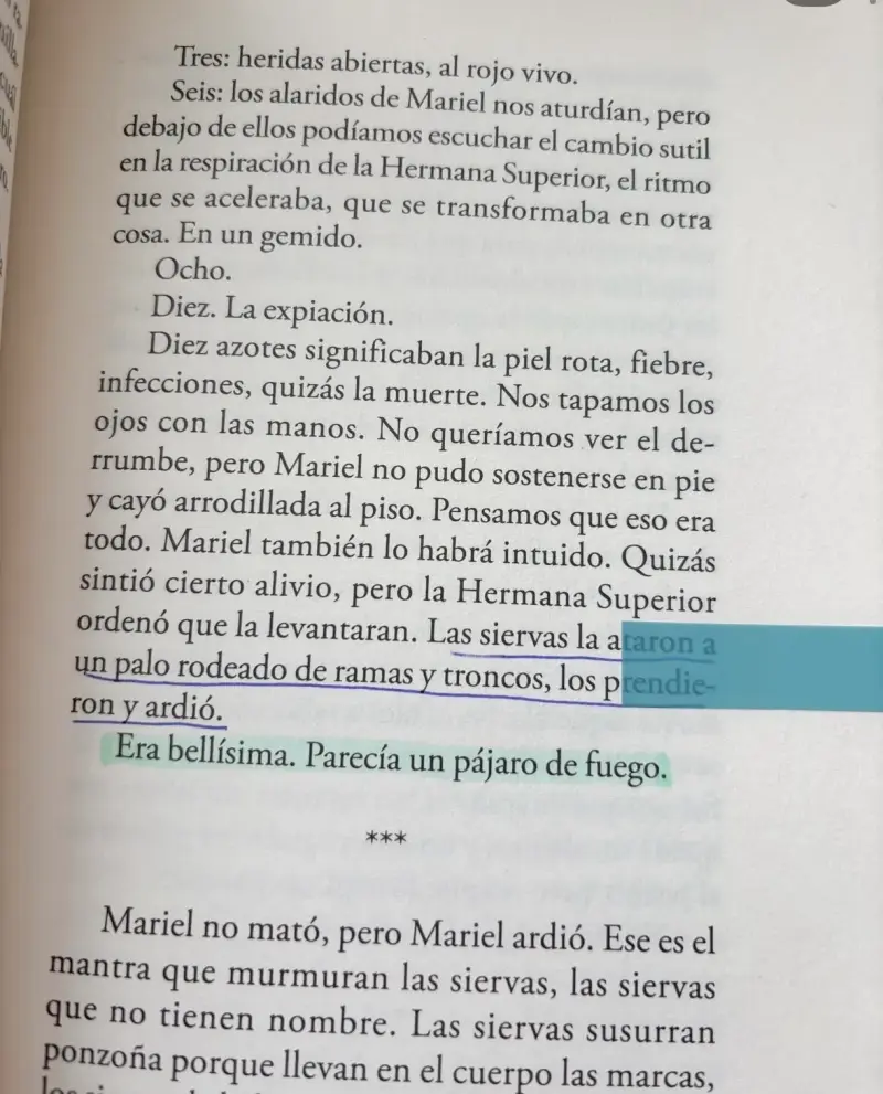 Libro 'Las Indignas' de Agustina Bazterrica - 5