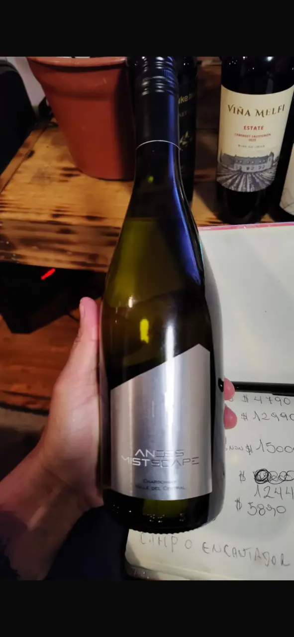 Vino Chardonnay Viña Melfi Reserva - 3