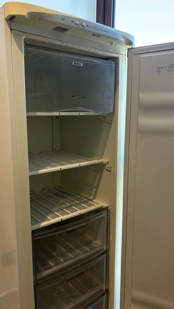 Frezer vertical Bosch EcoPlus - 3
