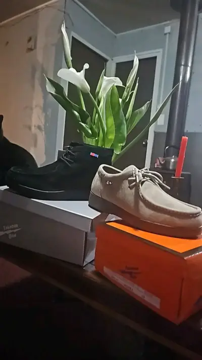 Zapatos de cuero Thunder en negro y beige - miniatura 1
