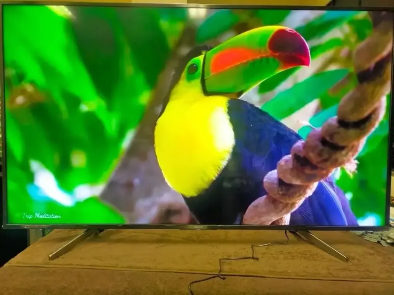 Televisor Sony LED 4K Ultra HD 55 pulgadas - 2