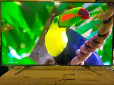 Televisor Sony LED 4K Ultra HD 55 pulgadas - miniatura 2
