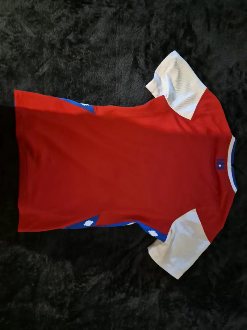 Vendo conjunto, polera, camiseta y banano - 3